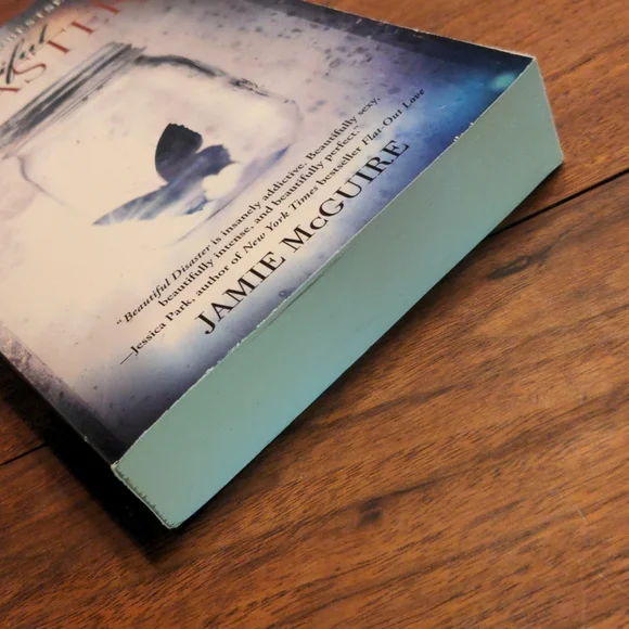 Beautiful Disaster Book - Picture 8 of 8